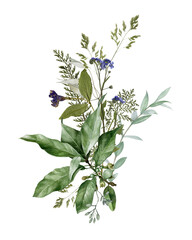 Watercolor wildflowers bouquet isolated on white background. Hand-drawn meadow green leaf and dry flowers for wedding and bridal shower invitations, greetings, wallpapers, prints. Botanical modern art