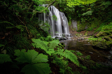 福島県猪苗代町　新緑の達沢不動滝