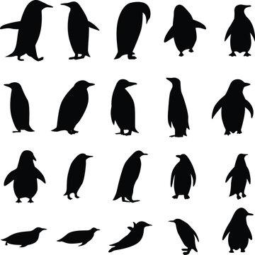 Set of penguins silhouettes. 20 silhouettes of penguin