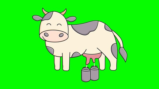 dairy cow vector animation for world milk day