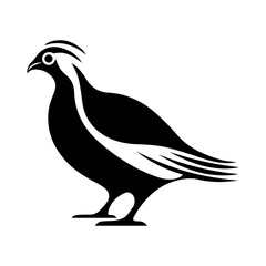 Quail vector clipart