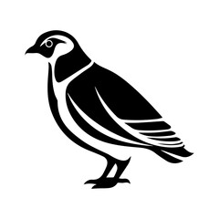 Quail vector clipart