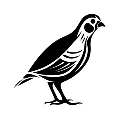 Quail vector clipart