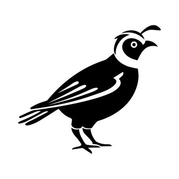 recommend clip art: Quail vector clipart