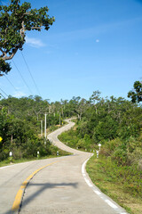 Natural path winding down a road 