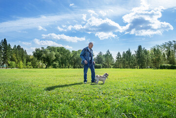 a man walks with a pug in the park on the lawn on a warm sunny day