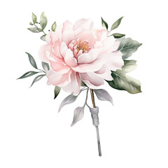 a boutonniere in watercolor style isolated on a transparent background, generative ai