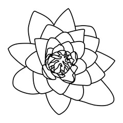 lotus flower line art vector illustration