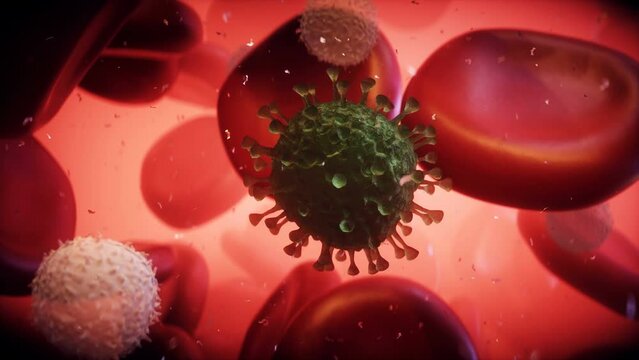 Virus and blood cell inside human body. Nanomedecine concept. realistic 4k animation.