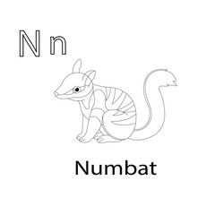 Obraz na płótnie Canvas Alphabet Numbat coloring page kids 