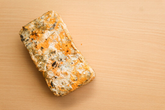 Oncom is a traditional food originating from Indonesia, oncom is a nutritious food. Oncom can also help maintain the health of the digestive system, because soybeans contain quite good fiber