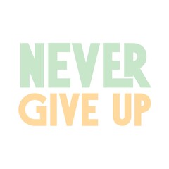 Motivation Quote Never Give Up. Wall frame