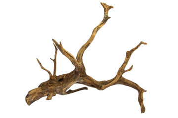 Artistic driftwood dry tree trunk for decoration isolated on transparent background. PNG...