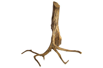 Obraz premium Exotic Driftwood branches tree for aquarium isolated on transparent background. PNG transparency
