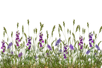 A border of wildflowers and grass isolated on a transparent background. Floristic border of meadow...