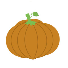 pumpkin isolated on white