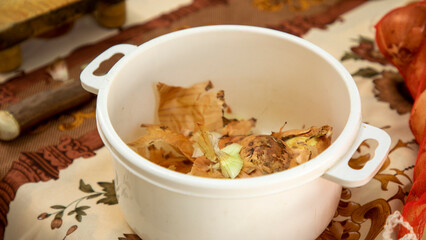 onion skin in a container