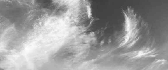 Grey sky with white clouds in rainy season, beautiful grey and white sky background textures, black and white sky, cloudy sky with stormy clouds. Low cumulus clouds of various shapes cover almost the	