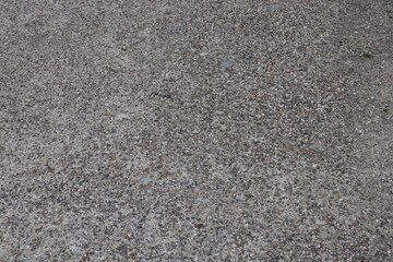 Tree trunk textured rough bark with branches and wood pattern. taken at Nara Park