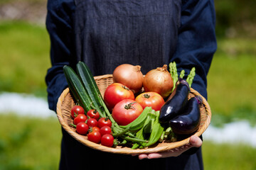 畑の前で採れたての野菜をもつ農家の女性