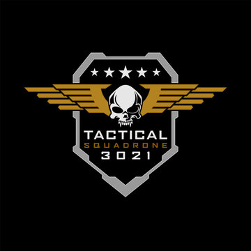 Military Skull wings vintage design template vector illustration