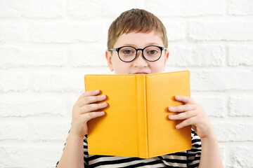 A cute cheerful boy in stripped tee shirt and glasses and hold a yellow book on half face on white bricks background.