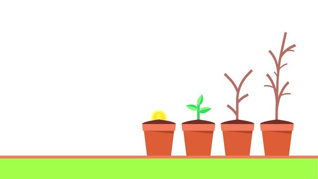 The animated footage of business growth concept using coin, plant and pot elements. symbolizes growth and financial prosperity