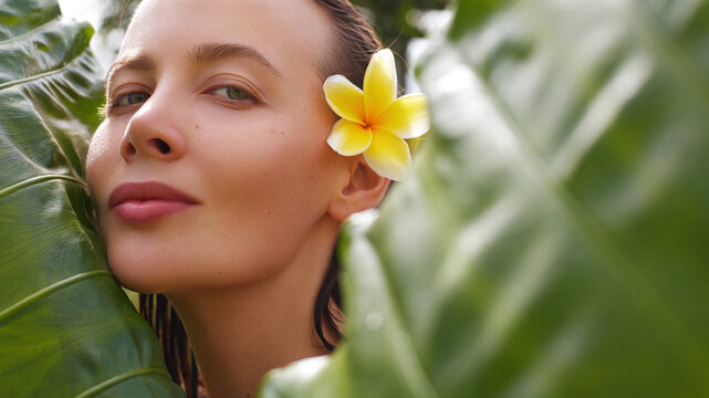 Skin care beauty portrait. Skincare model with blumeria flower behind her ear is posing between the huge tropical leaves. Bali style organic natural spa facial cosmetics tretment