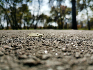 landscapes, photos, details, park, bench
