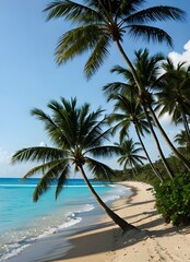Fototapeta na wymiar 晴天のビーチに映える複数のヤシの木、海辺の景色