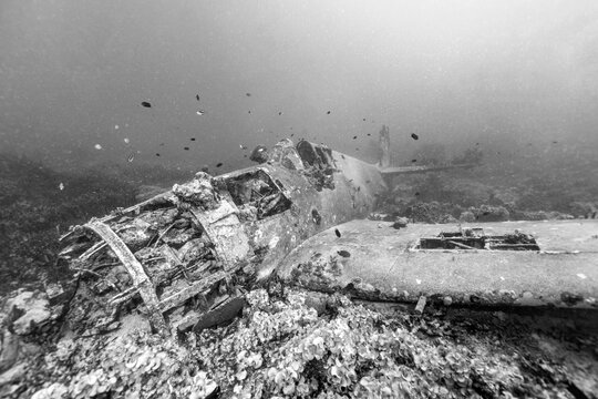 World War 2 Plane Wreck In The Ocean