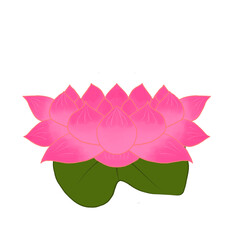 lotus