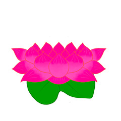 lotus