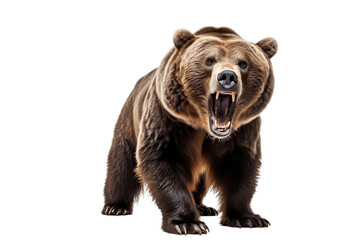 Fototapeta na wymiar A powerful grizzly bear captured on a transparent background, Generative Ai