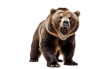 Fototapeten A powerful grizzly bear captured on a transparent background, Generative Ai © Haider