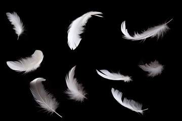 Fototapeta white feathers flying on a black background, Generative AI obraz