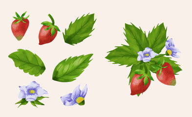 Watercolor illustrations with different berries; strawberries, flowers and leaves
