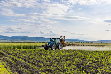 Tractor fertilizes crops