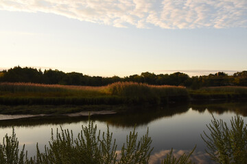 Fototapeta na wymiar Dawn with Clouds Reflecting in Jones River