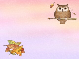 フクロウと落ち葉の背景