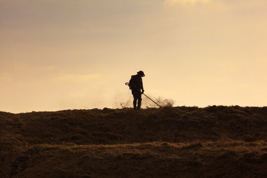 Worker mowing grass in the light of the sunset