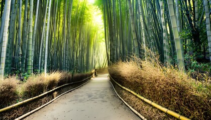 A beautiful path through a bamboo forest, way, forest, nature, path, trees, wood, park, environment, bamboo, outdoors, way, tree, landscape, woods, leaves, leaf, plant, grass, AI Generated