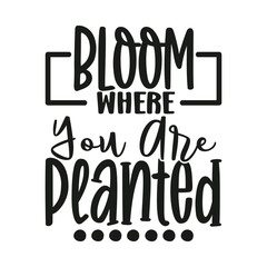 Bloom Where You Are Planted