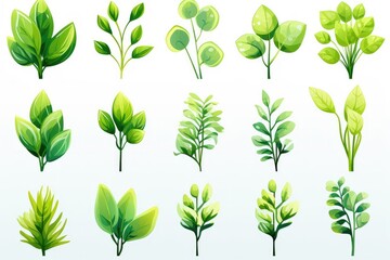 A artwork depicting the life cycle of a legume plant, from seed to sprout, flowering, and eventually producing pods, showcasing the botanical beauty of legumes in