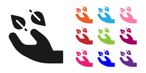 Black Tea leaf in hand icon isolated on white background. Tea leaves. Set icons colorful. Vector