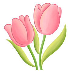 Tulip
