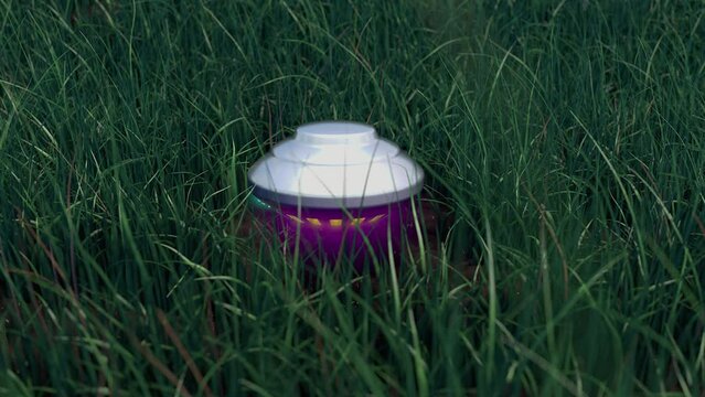 Small Alien flying object landing on a grass field.