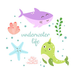 underwater life marine print with sea animals