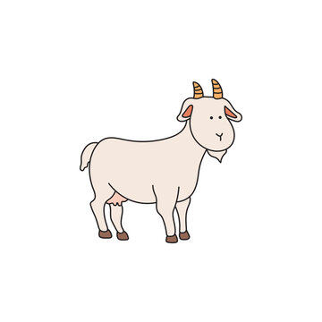 Kids drawing Cartoon Vector illustration cute goat male icon Isolated on White Background