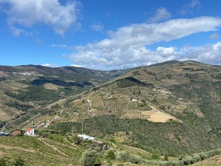 Fototapeta premium Beautiful vineyards in sunny landscape in Douro Valley wine region of Portugal with vines and sunset